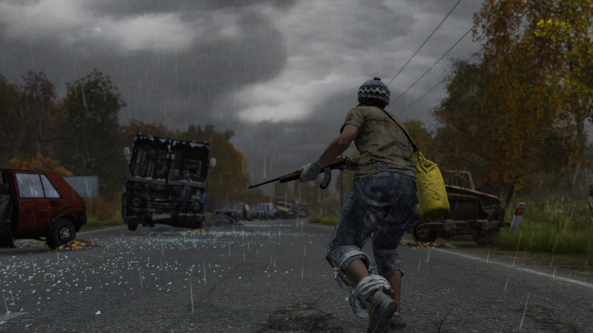 Карта DayZ — Chernarus+